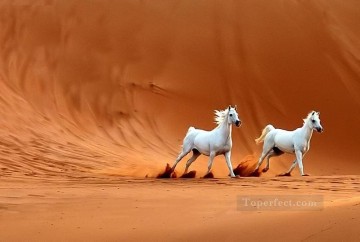 動物 Painting - 砂漠の二頭の白い馬